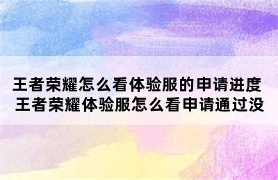 王者荣耀怎么看体验服的申请进度 王者荣耀体验服怎么看申请通过没